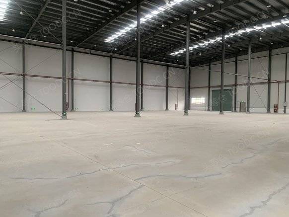 全单层3000平 厂房出租 层高10米 业主直租 可做仓储