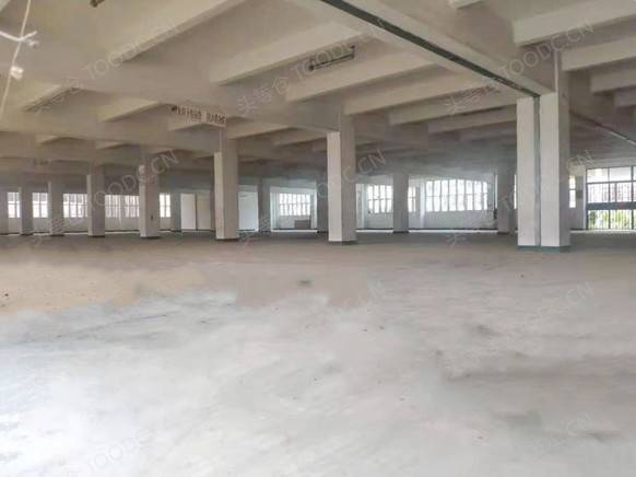 6000平起 仓库出租 租期灵活 周转场地25米 可做生产