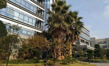 赵巷站地铁附近，形象好，场地大，可分割，食宿均有，交通便利 面积灵活分租 104地块 有补贴政策 采光好 带办公