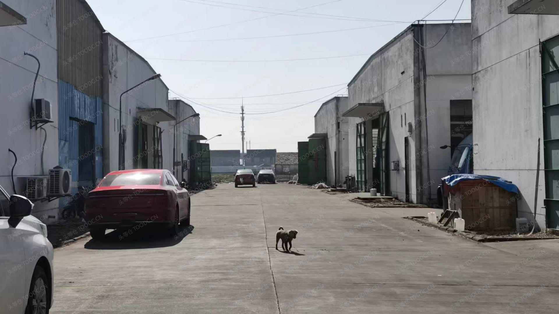 嘉定徐行单层仓库出租 租期灵活 层高6米 原房东 有产证 适合金属设备加工等_上海嘉定徐行仓库厂房出租