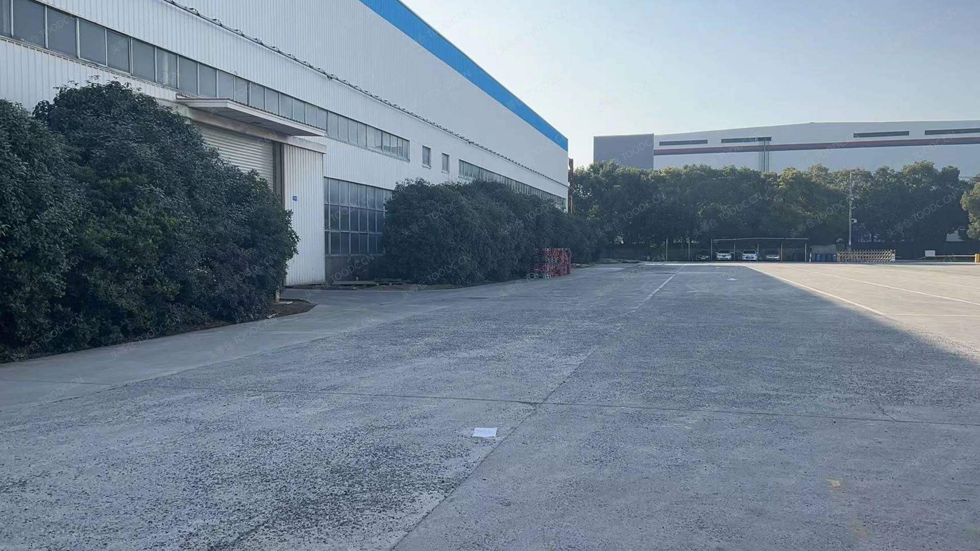 松江新浜单层仓库厂房出租 可分割 带消防喷淋 层高15米 原房东 有产证 适合加工仓储等_上海松江新浜仓库厂房出租