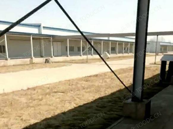 全单层500平起 仓库出租 租期灵活 周转场地25米