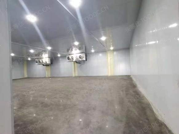 全单层1000平起 仓库出租 租期灵活 业主直租